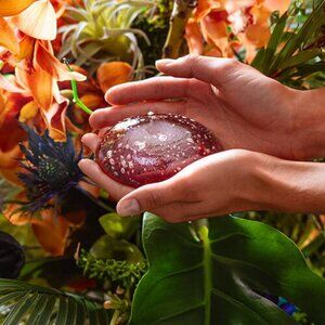 ✨ Herbal Face Food – The Soap – New in Package ✨